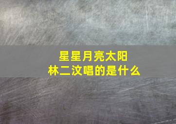 星星月亮太阳 林二汶唱的是什么